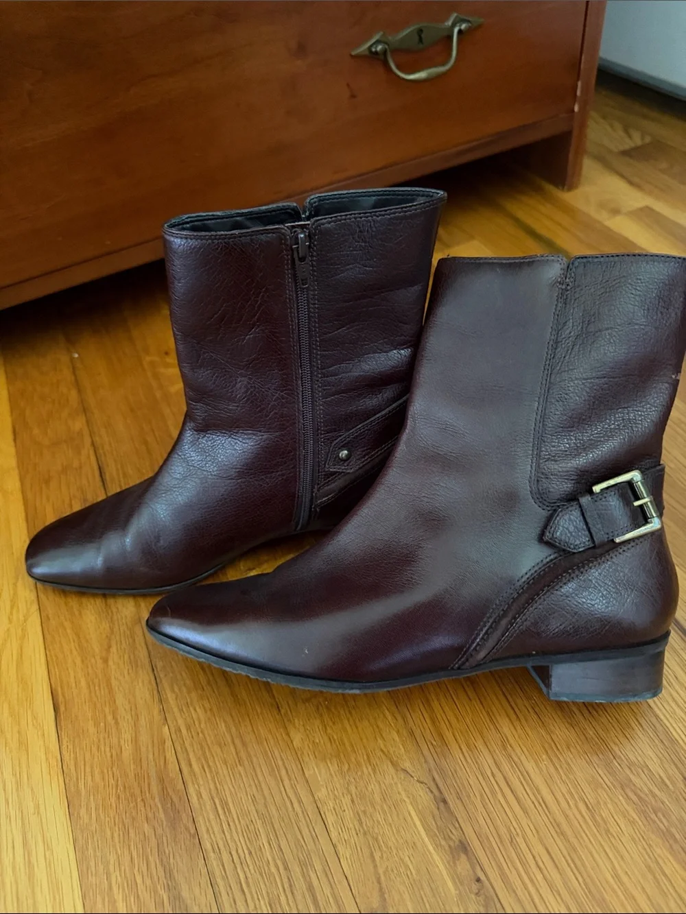 Talbots Dark Brown Leather Ankle Booties